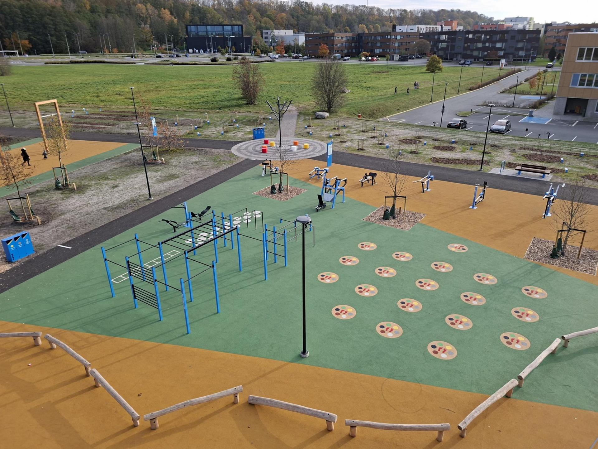 Tammede park 2025