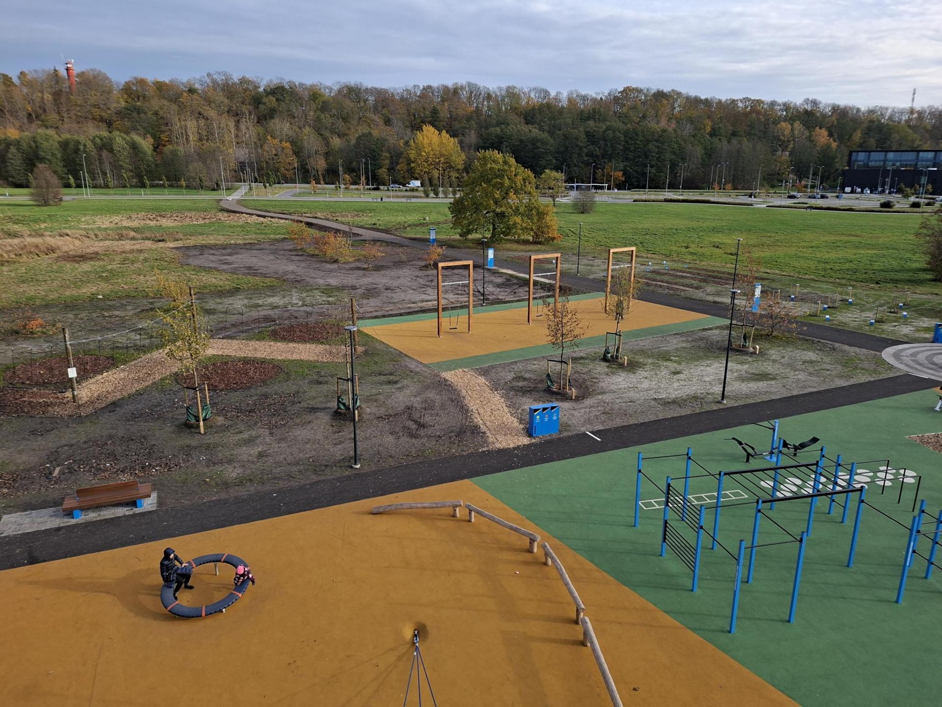 Tammede park 2025